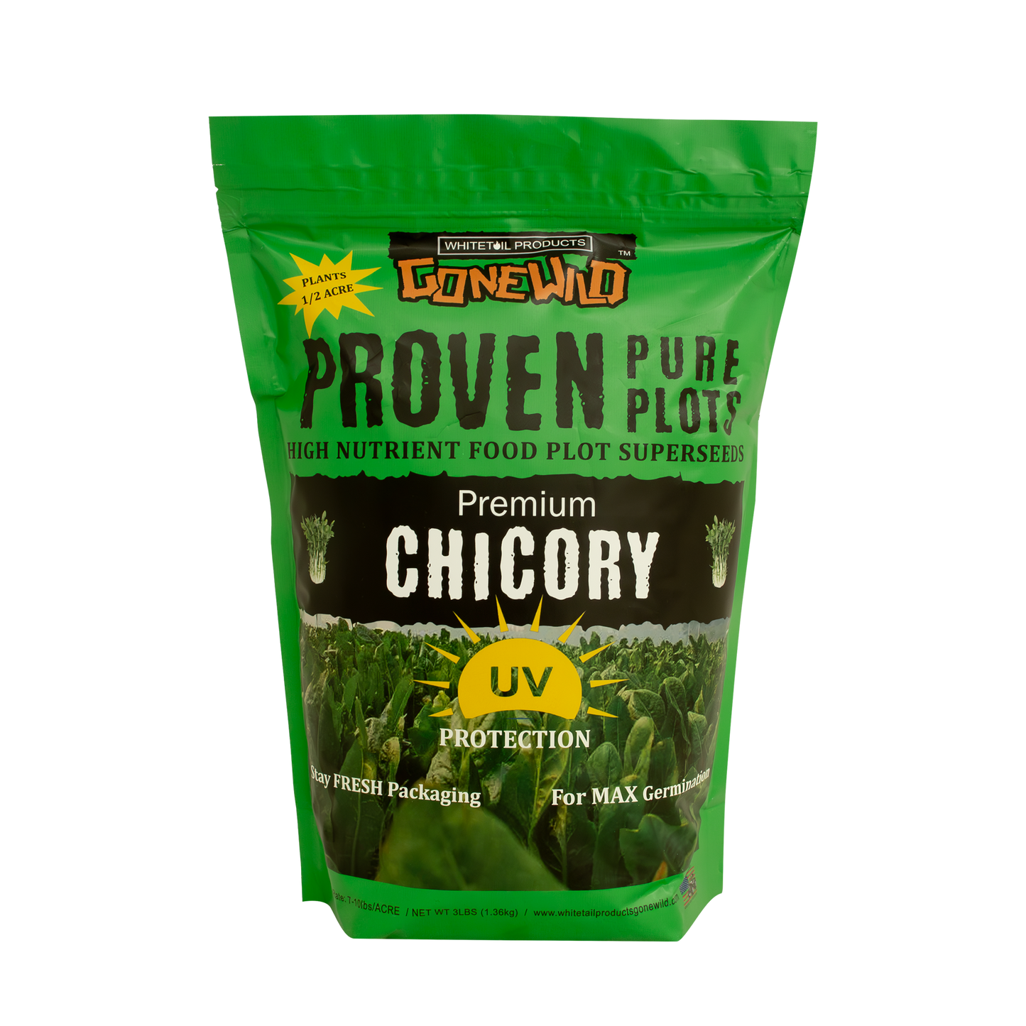 Premium Chicory