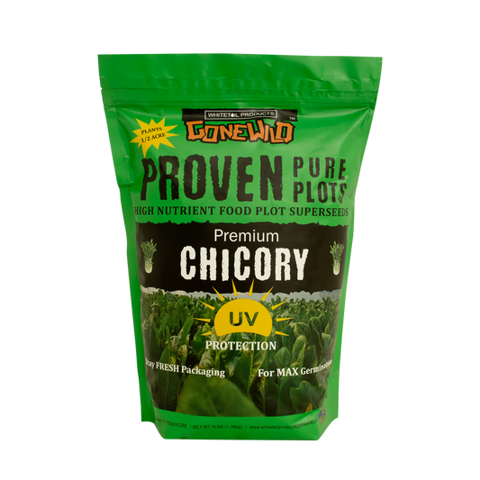 Premium Chicory