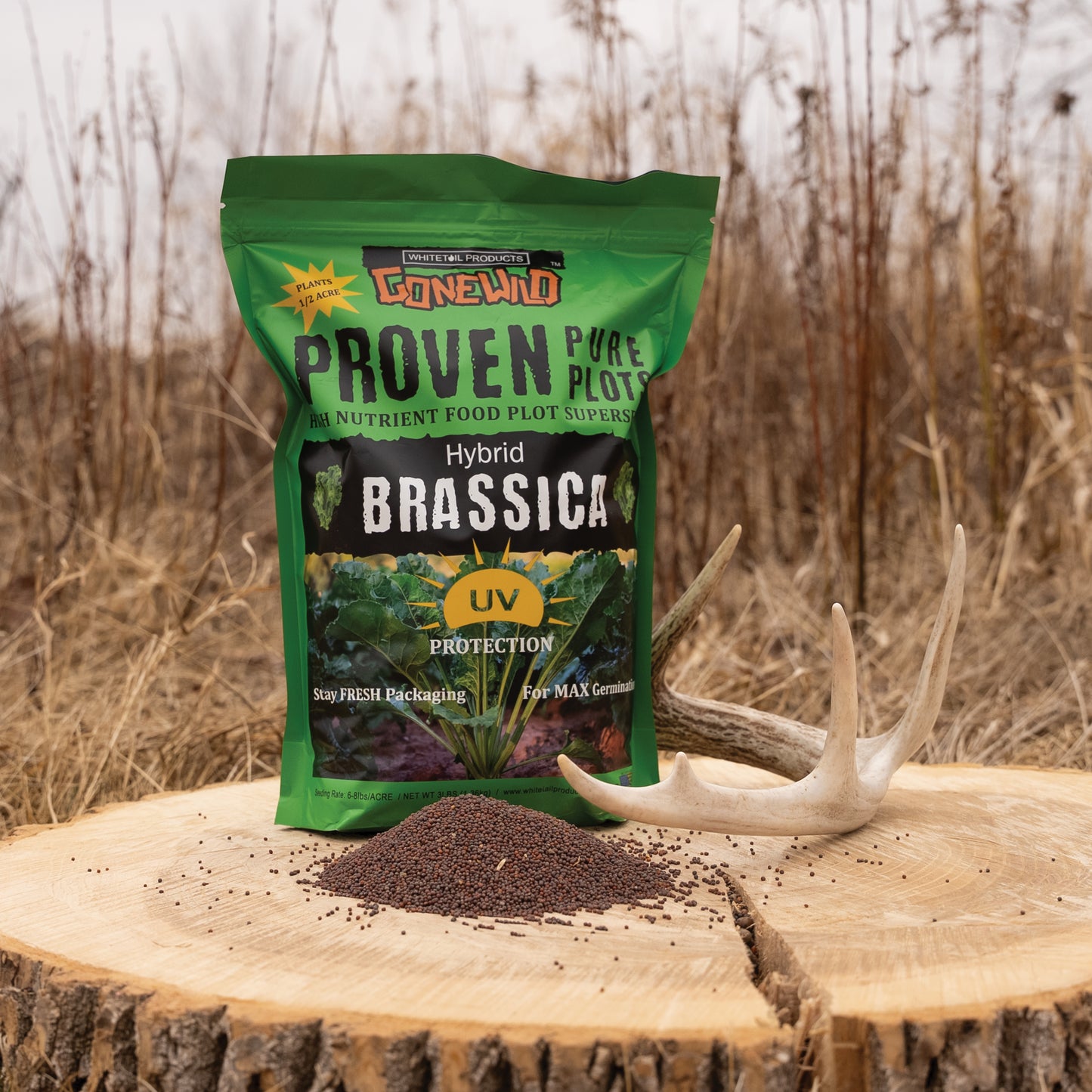 Hybrid Brassica