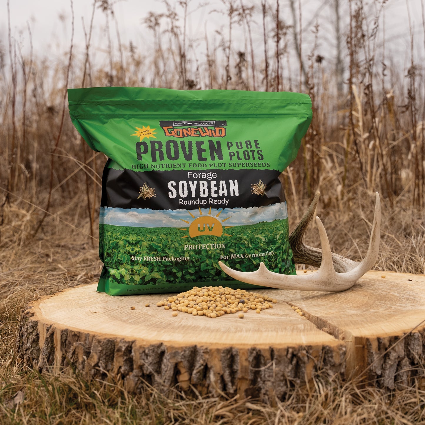 Forage Soybean (Round Up Ready)
