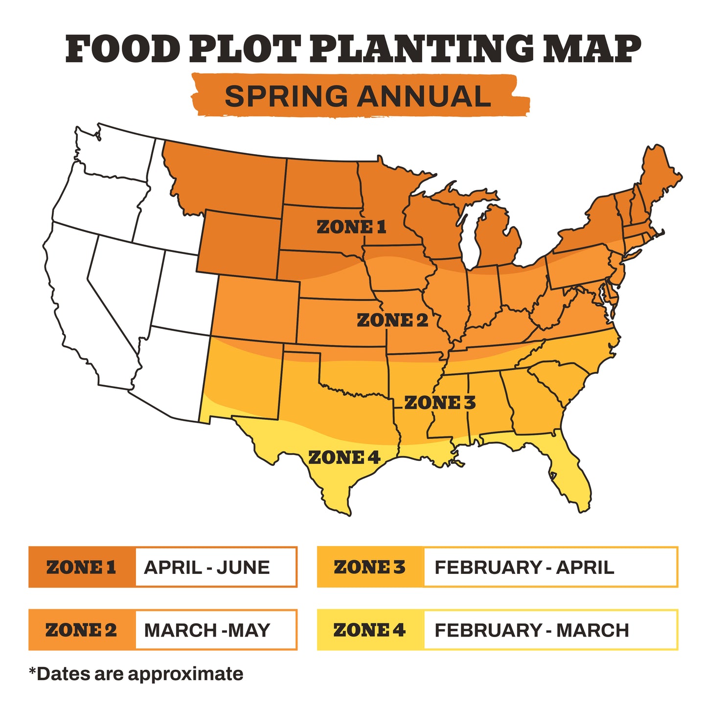 Forage Soybean (Round Up Ready)