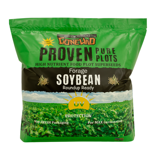 Forage Soybean (Round Up Ready)