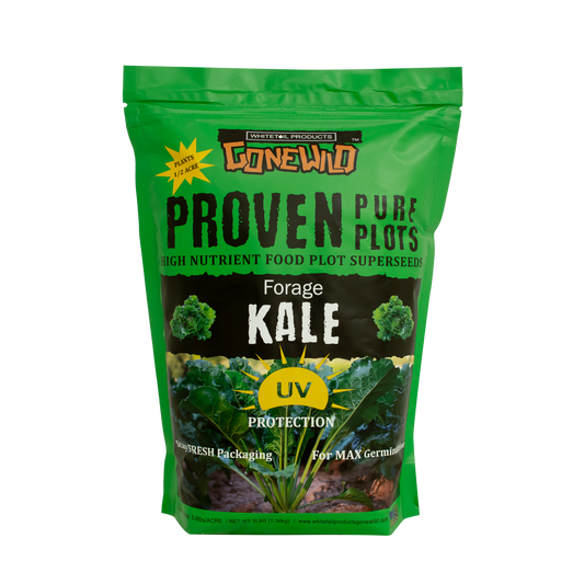 Forage Kale