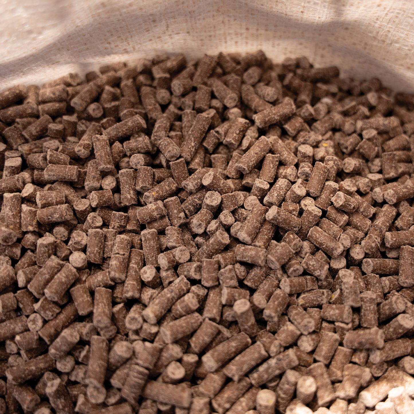 Cookie Dough Pellets Bear Bait