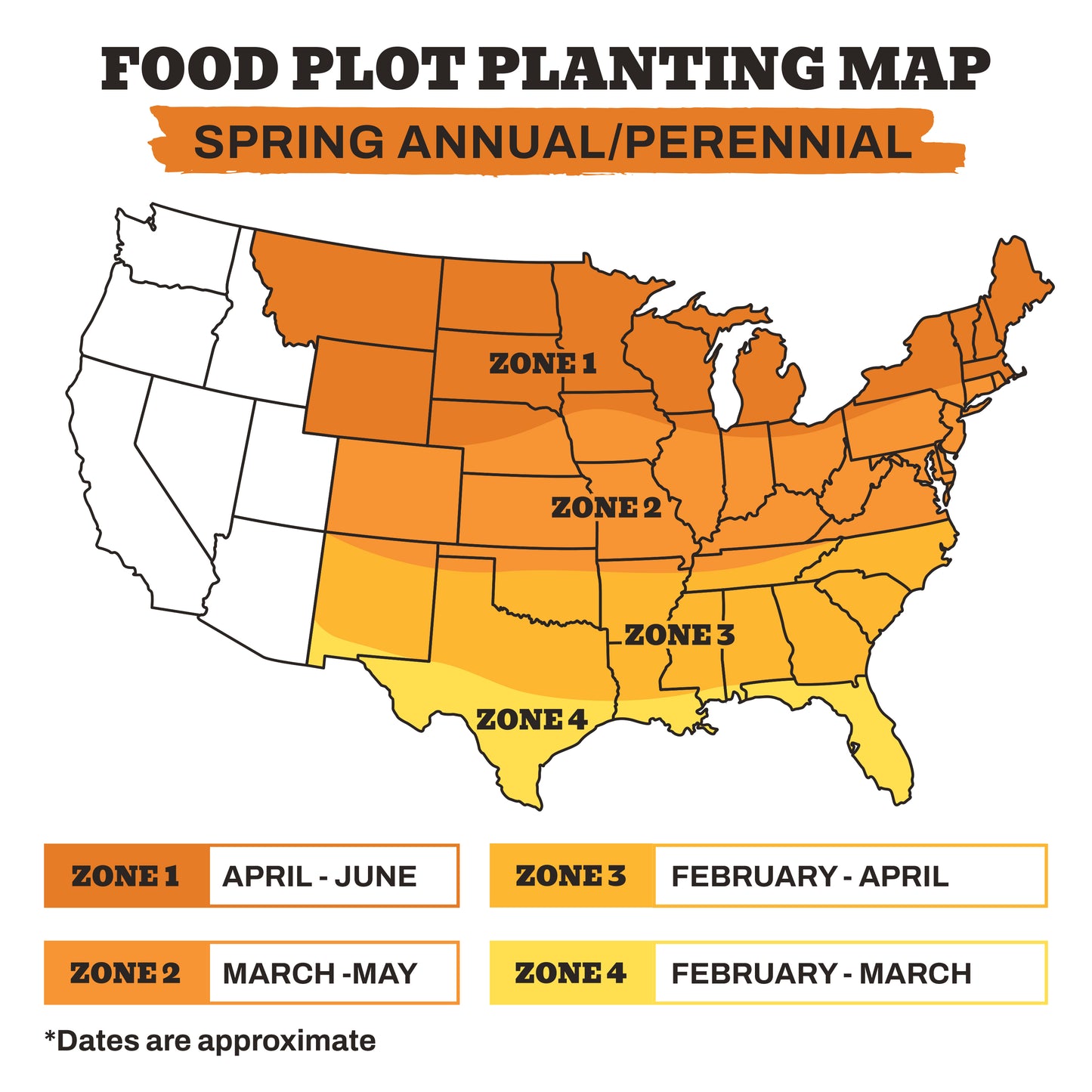 Screening Forage Sorghum