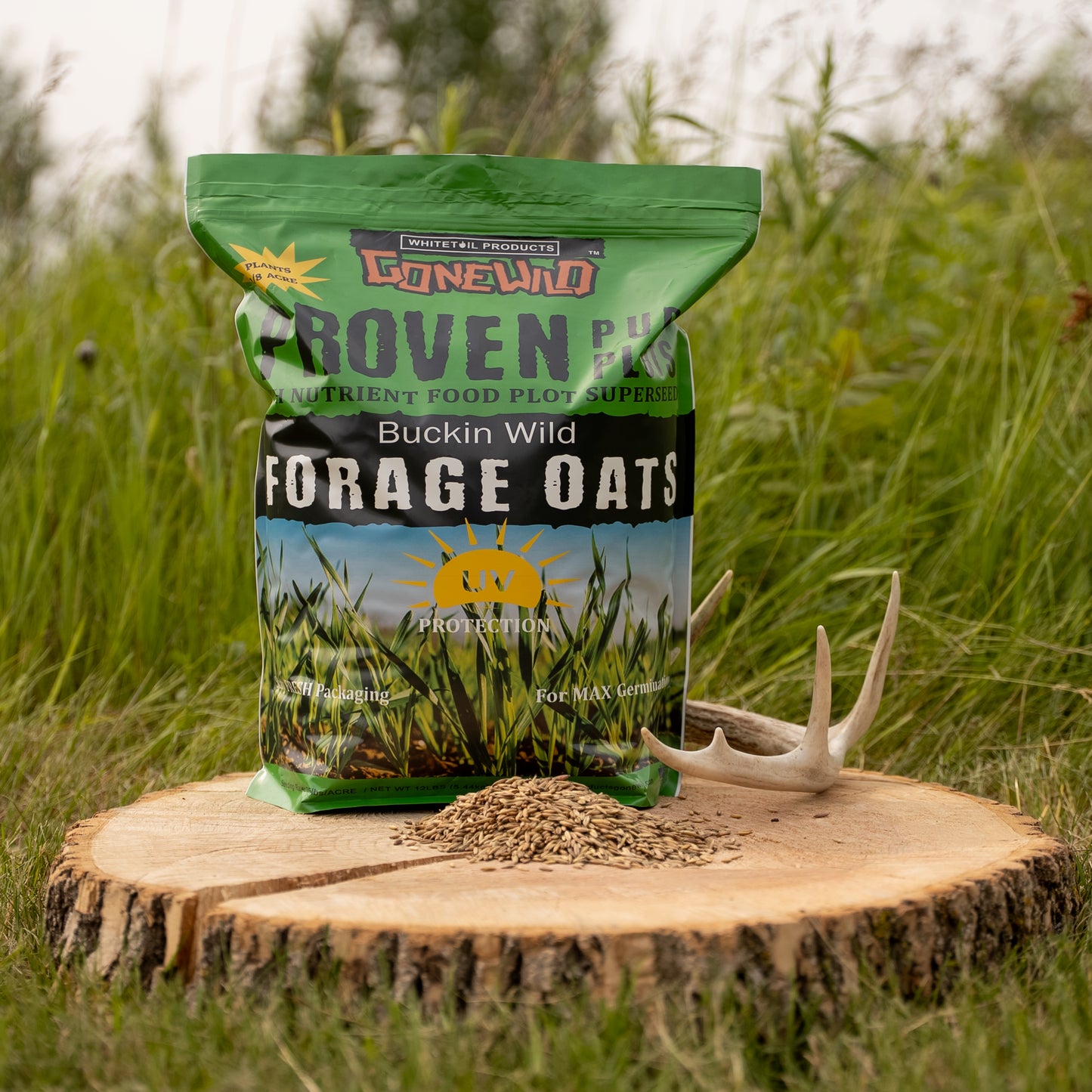 Buckin' Wild Forage Oats