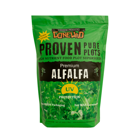 Premium Alfalfa