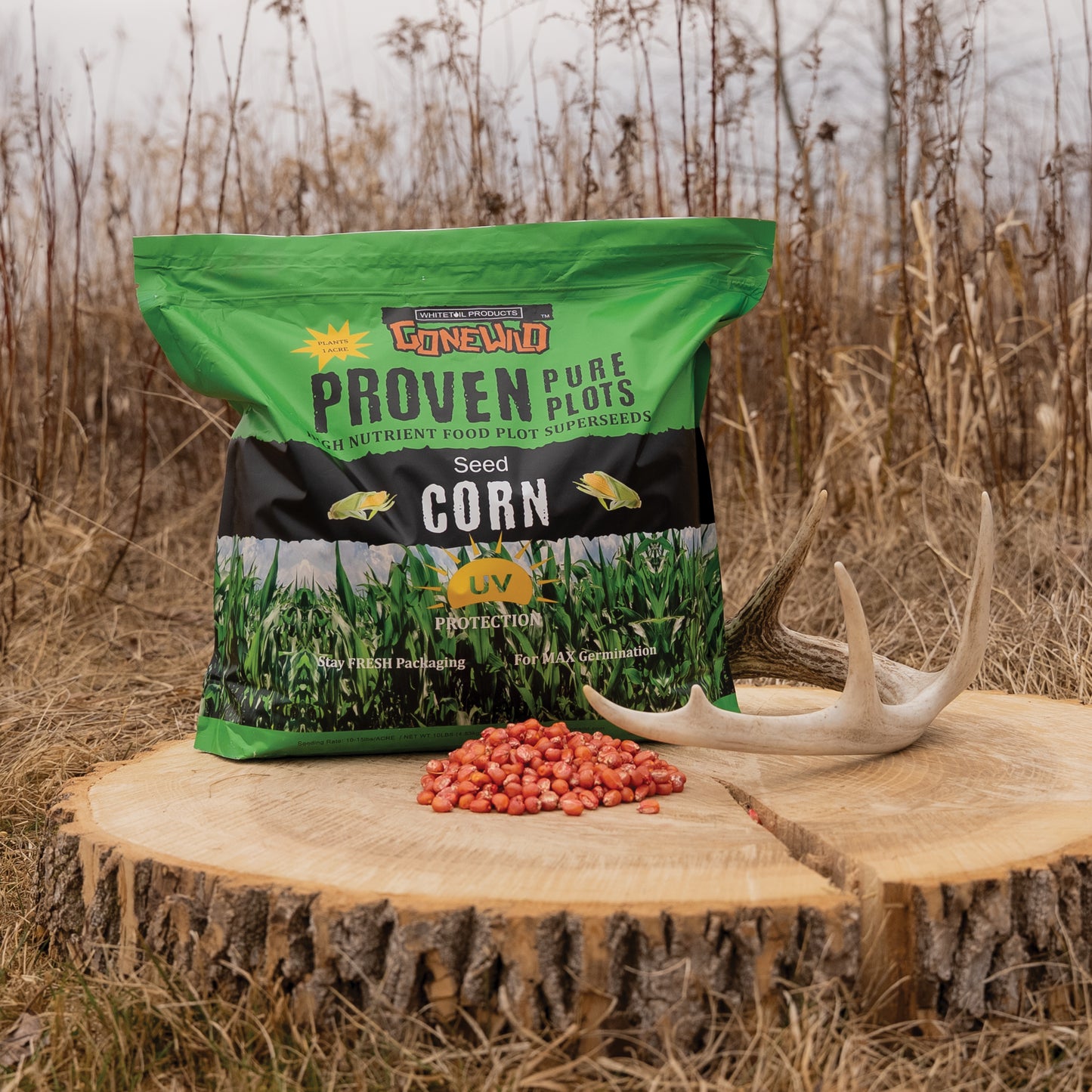 Corn
