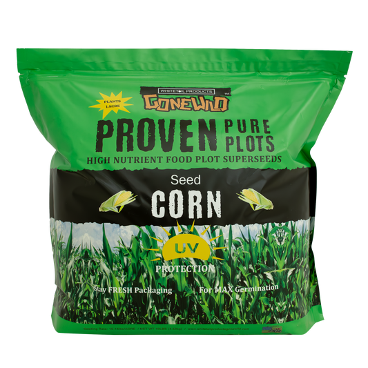 Corn