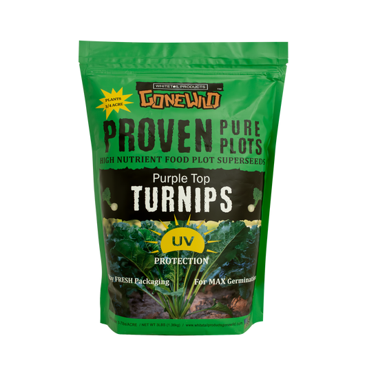 Purple Top Turnips