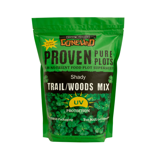 Shady Trail/Woods
