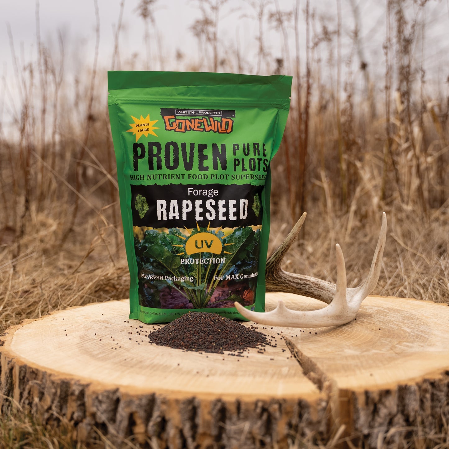Forage Rapeseed