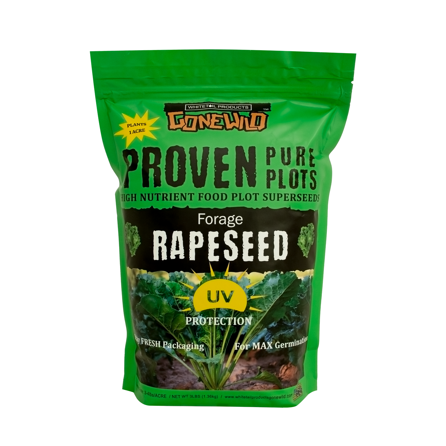 Forage Rapeseed