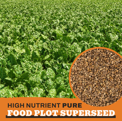 Sweet Sugar Beets