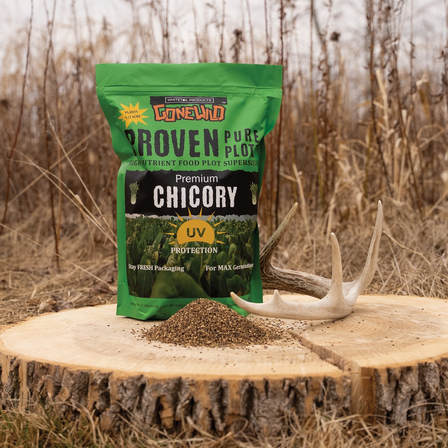 Premium Chicory