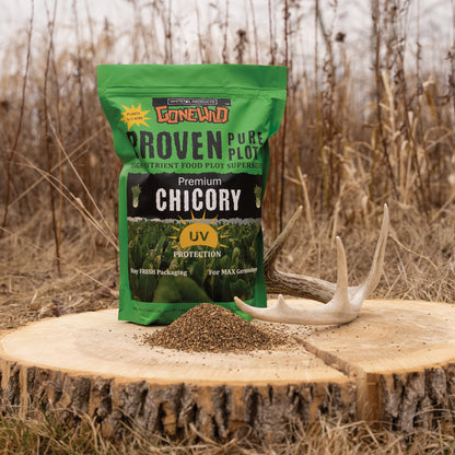 Premium Chicory