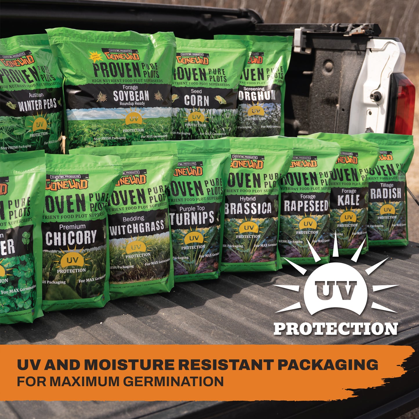 Forage Soybean (Round Up Ready)