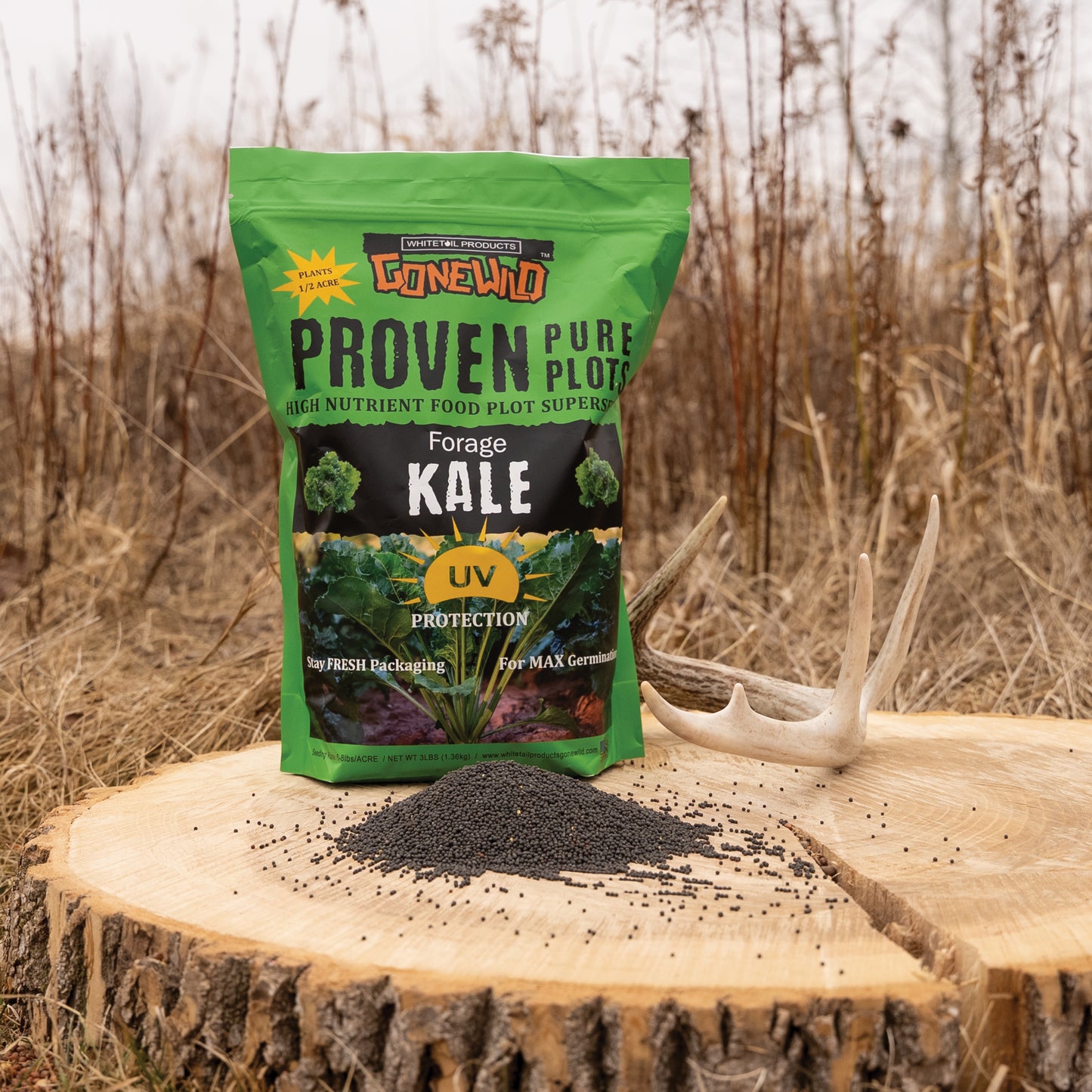 Forage Kale