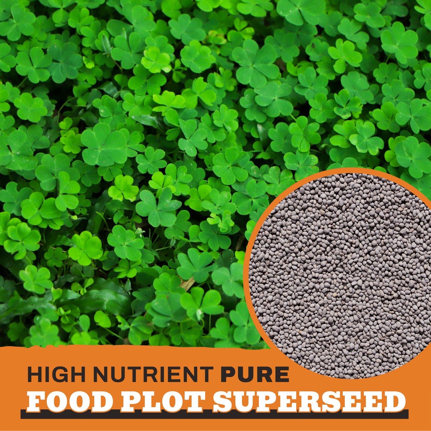 Premium Clover