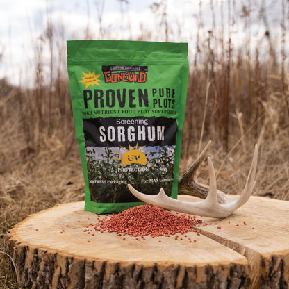 Screening Forage Sorghum