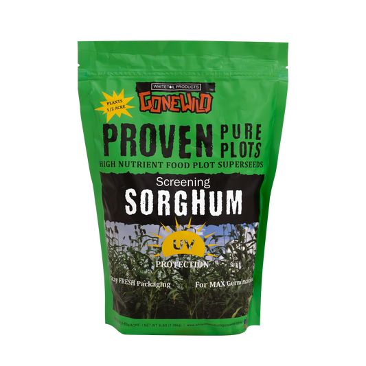 Screening Forage Sorghum
