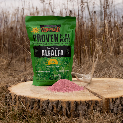 Premium Alfalfa