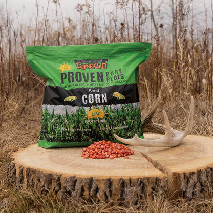 Corn